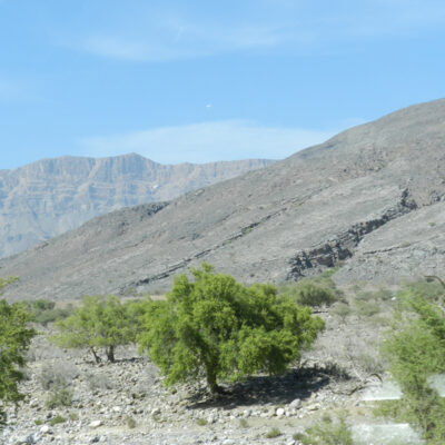 eltravel_oman_2012_128