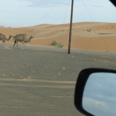 eltravel_oman_2012_211